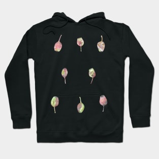 Gumnuts Watercolour Hoodie